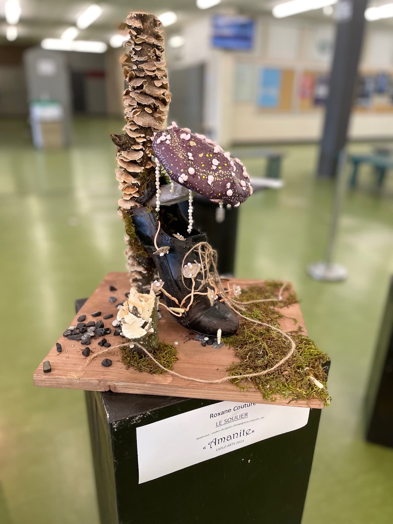 Projet de soulier présenté dans la galerie